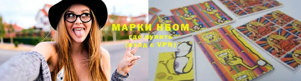 ГАЛЛЮЦИНОГЕННЫЕ ГРИБЫ Аркадак