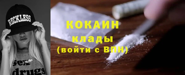 ГАЛЛЮЦИНОГЕННЫЕ ГРИБЫ Аркадак