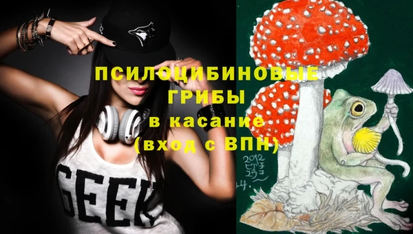 дживик Армянск