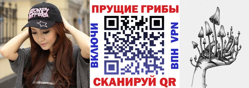 Псилоцибиновые грибы мицелий  Купить закладки  Вольск 